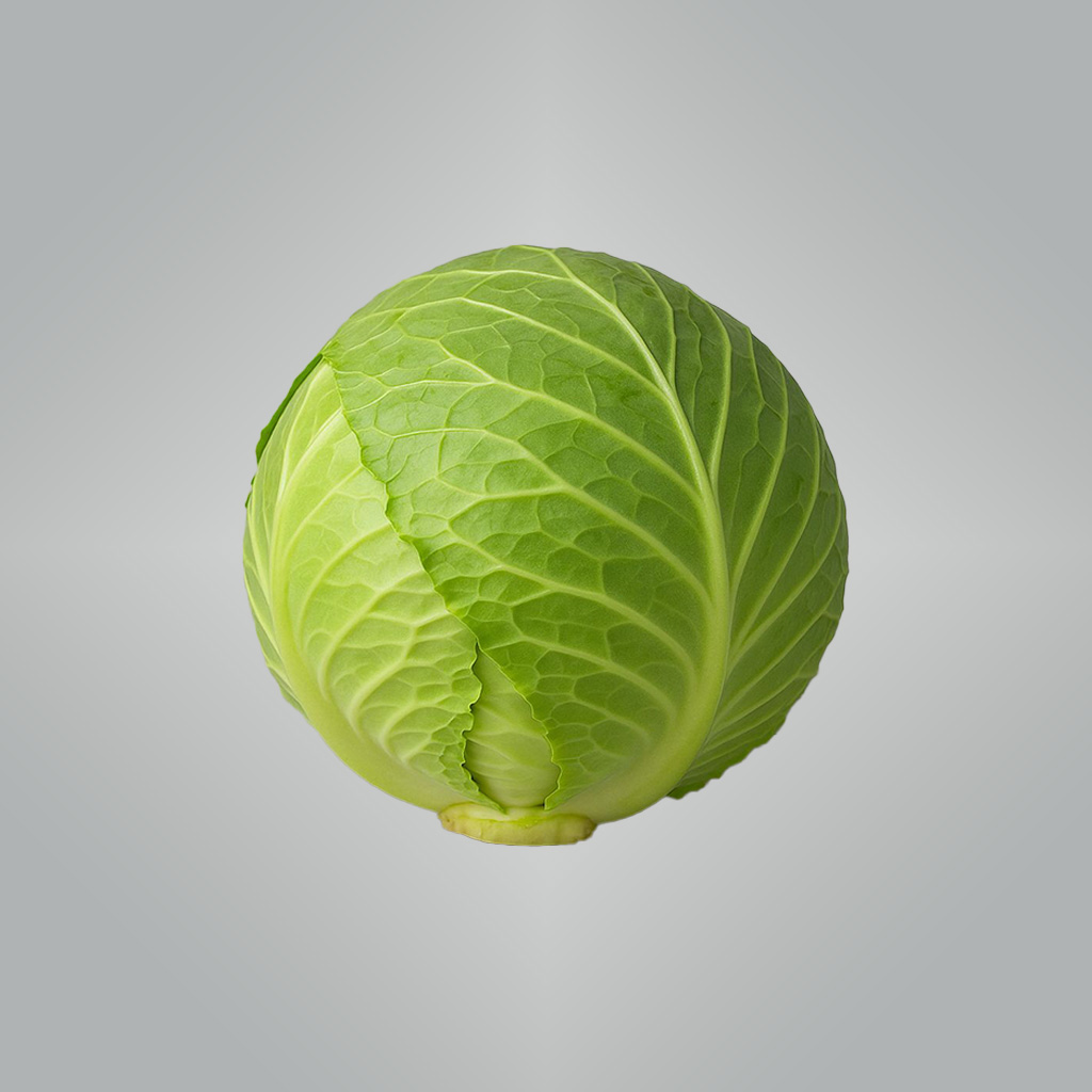 Cabbage-Green-1.jpeg Cabbage Green - Image 1