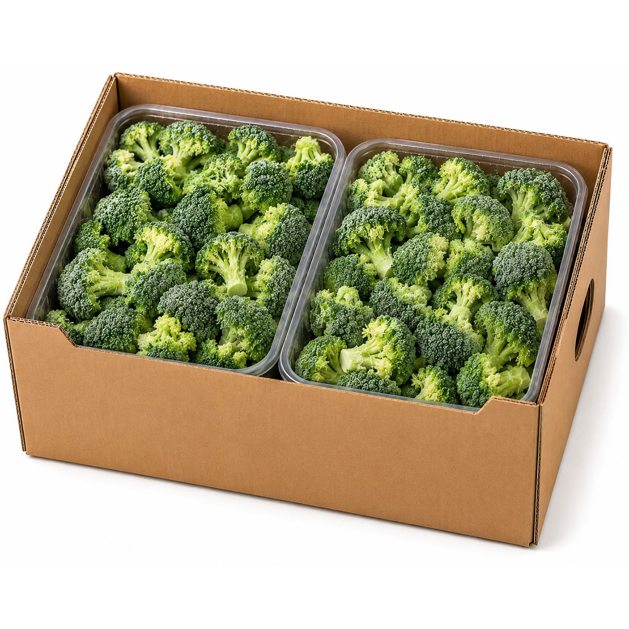 Fresh Broccoli2 Broccoli Florets - Image 1