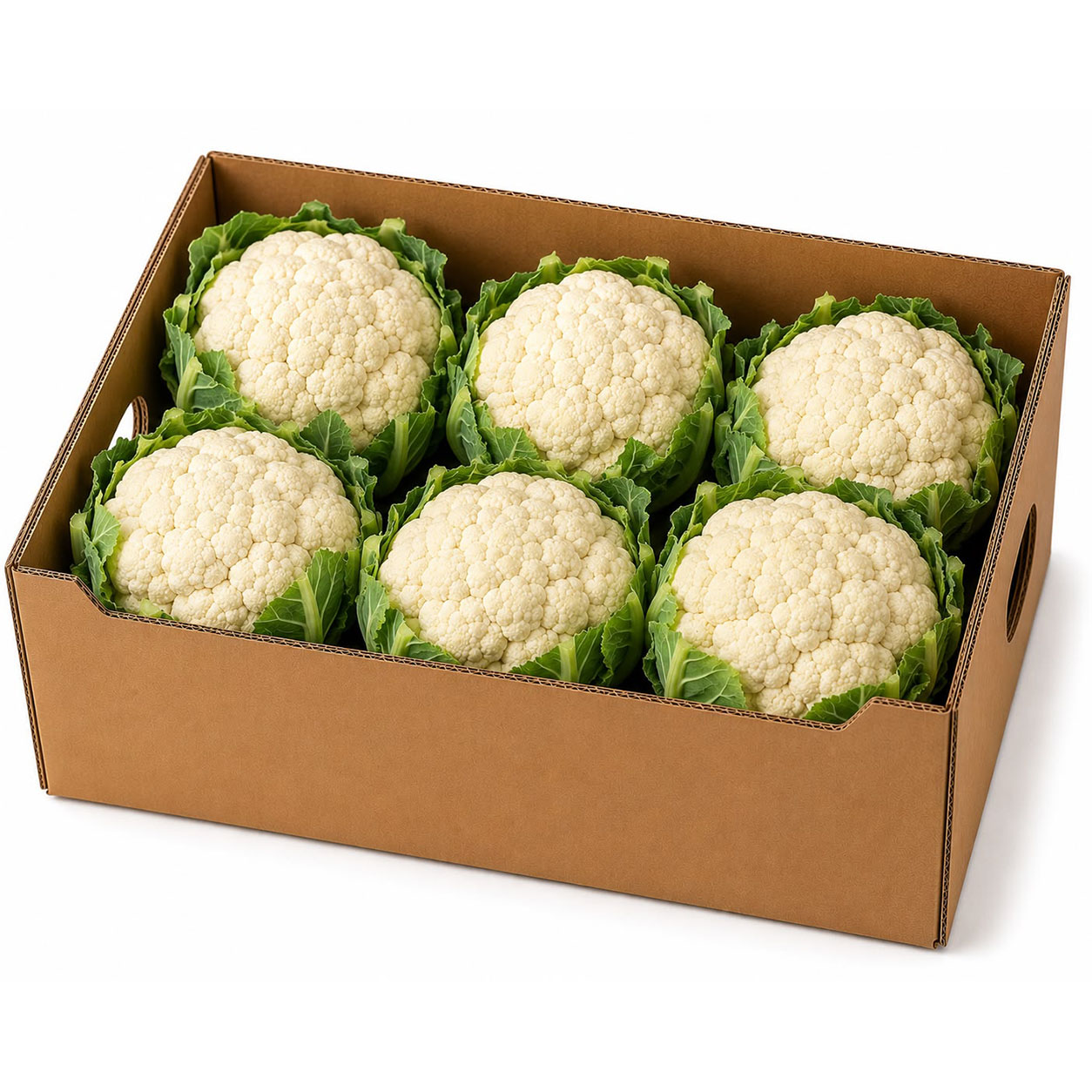 Fresh Cauliflower2 Cauliflower - Image 1