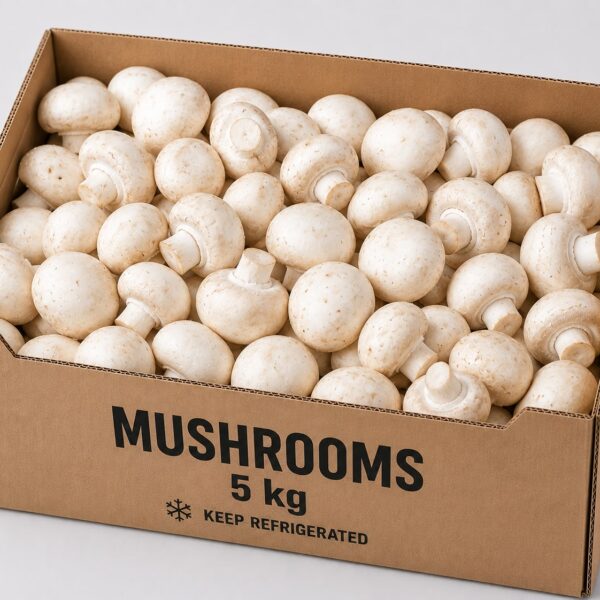Mushroom Honest Farmer